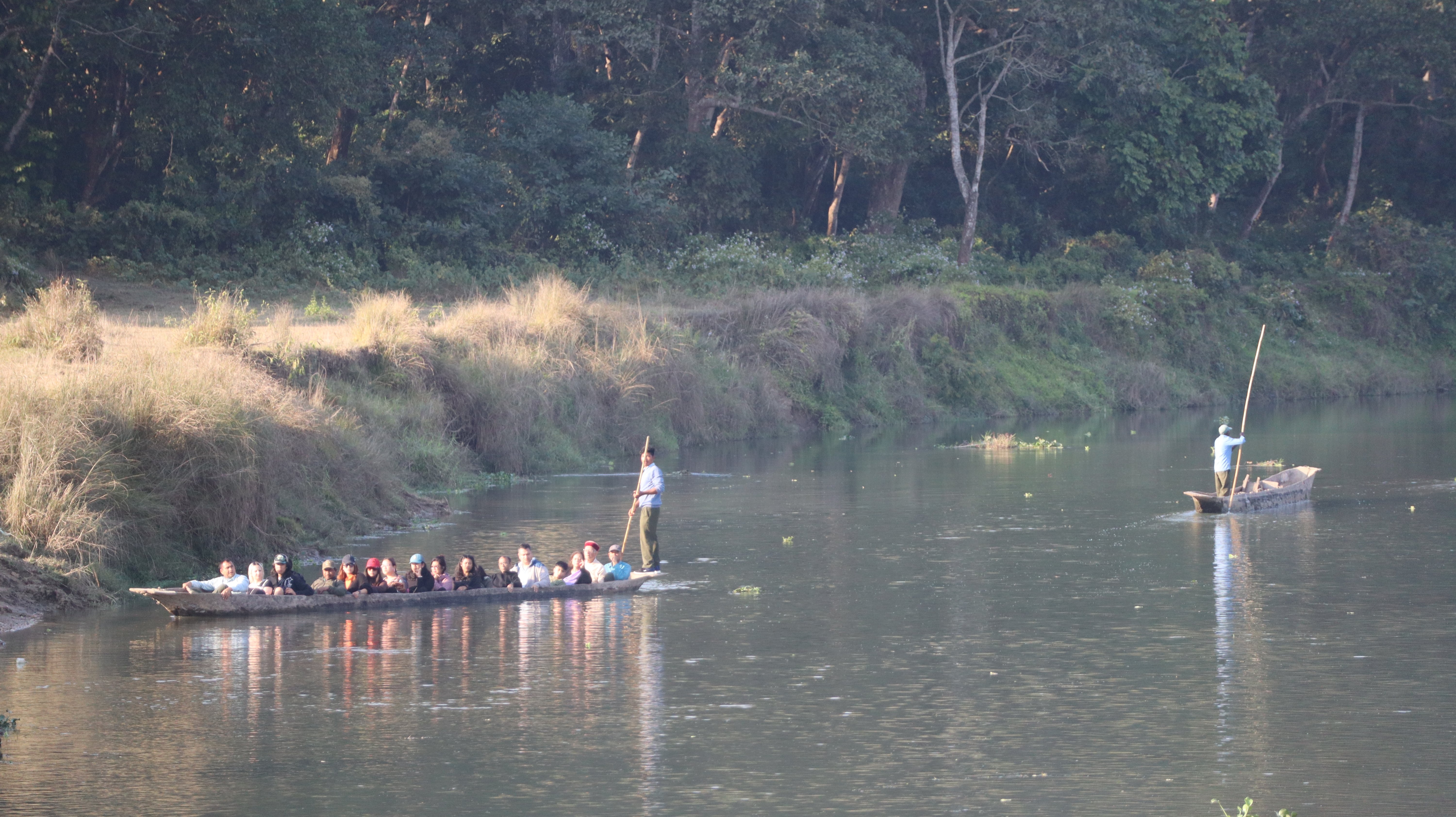 elephant chitwan (36).jpg